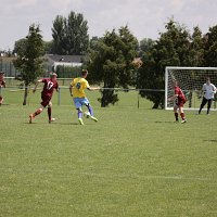 IMG 0705